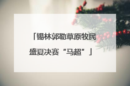 锡林郭勒草原牧民盛夏决赛“马超”